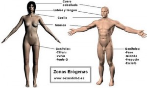 Cuerpo humano